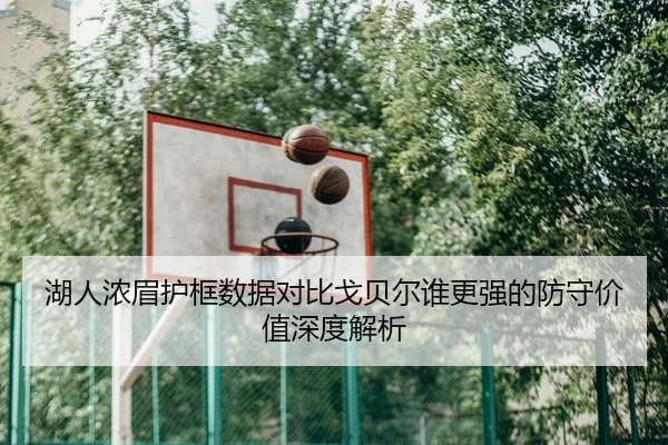 湖人浓眉护框数据对比戈贝尔谁更强的防守价值深度解析
